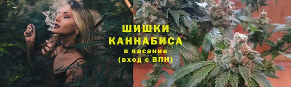 мескалин Новозыбков