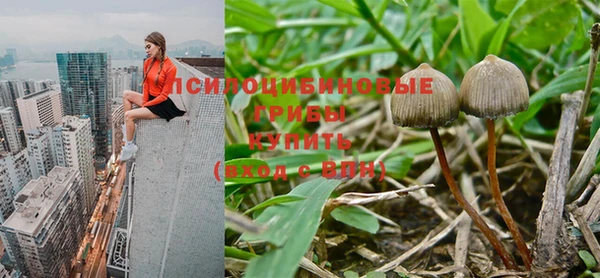 мяу мяу кристалл Новодвинск