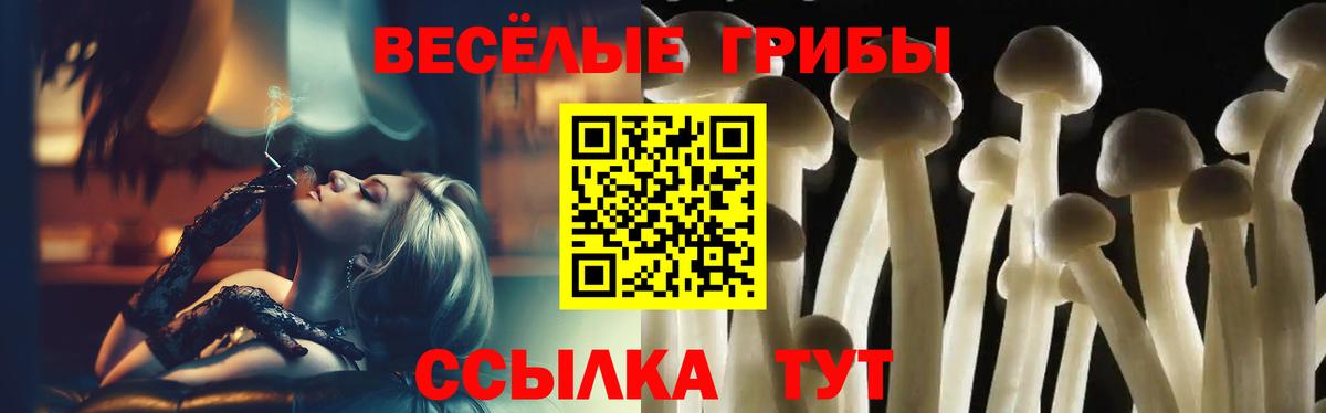Губкин  Псилоцибиновые грибы Psilocybine cubensis  Вход с VPN 